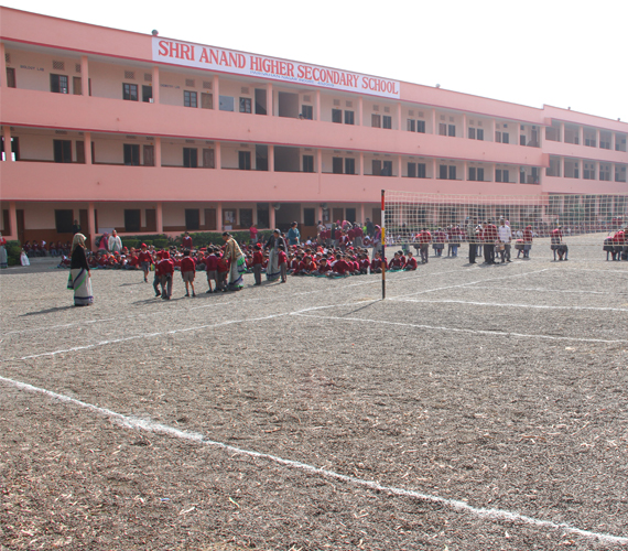 Shri Anand H.S. School