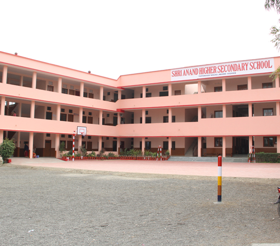 Shri Anand H.S. School